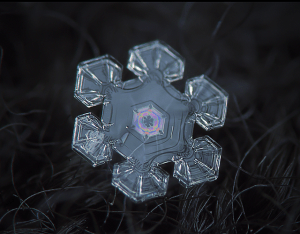 snowflake.2