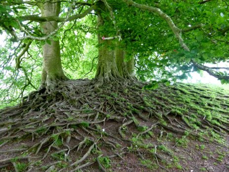 photoprompt 5.9.2019